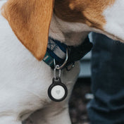 Belkin AirTag Keyring - Svart