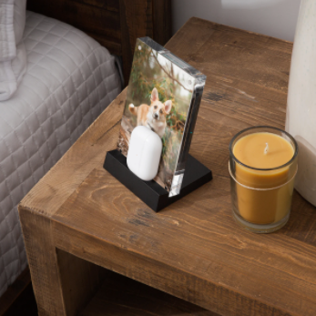 Twelve South PowerPic Mod Trådløs Lader - Hvit