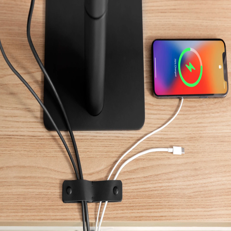 Twelve South SurfaceSnap Lærbånd - Svart