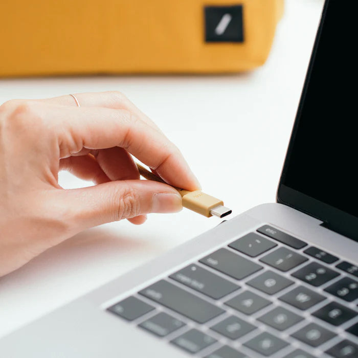 Native Union Belt USB-C til USB-C Ladekabel 1,2m - Kraft