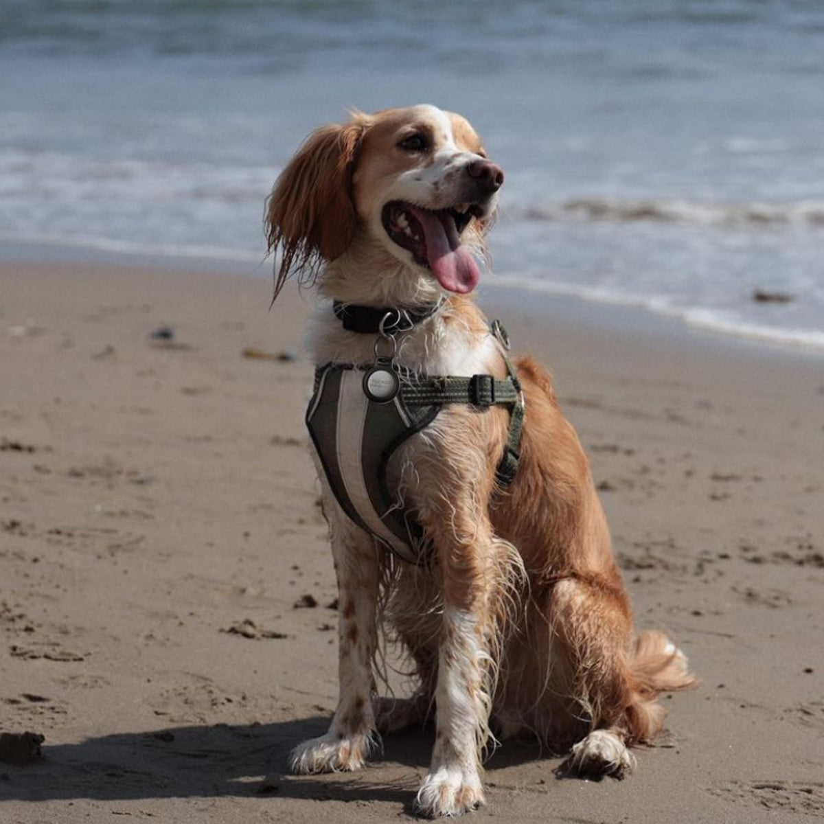 Nomad AirTag Rugged Keychain - Svart